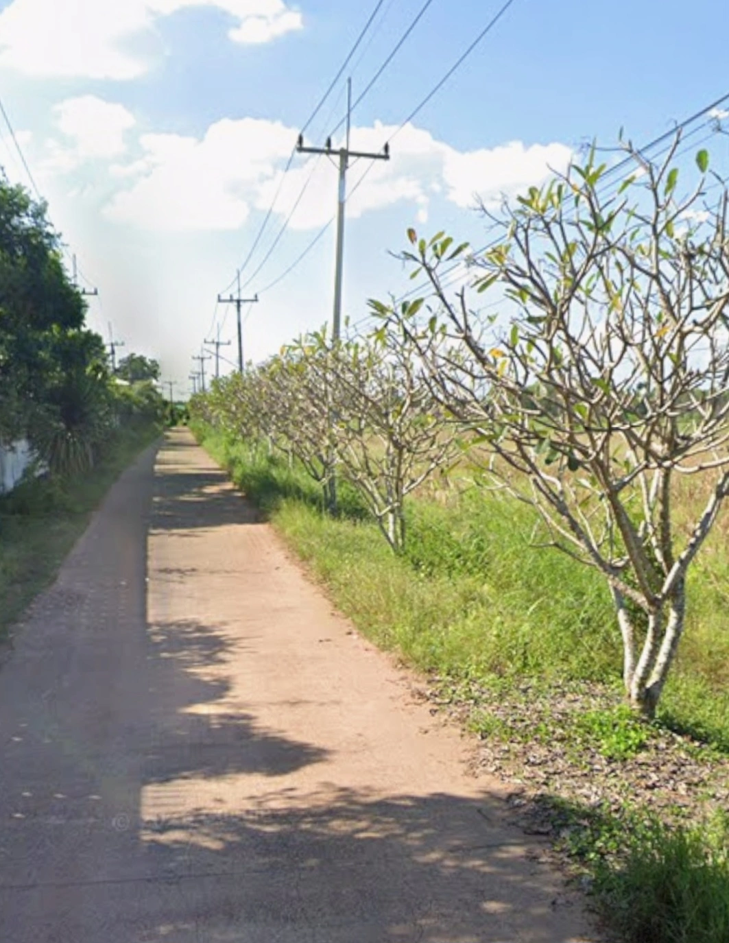 ขายที่ดินสีม่วง 76ไร่  ตินถนนทางหลวง 304 ฉะเชิงเทรา-กบินทร์บุรี