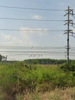 ขายที่ดินสีม่วง 76ไร่  ตินถนนทางหลวง 304 ฉะเชิงเทรา-กบินทร์บุรี