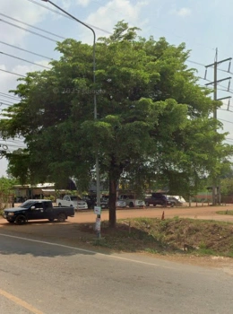 ขายที่ดินเปล่า ปราจีนบุรี ศรีมหาโพธิ 9 ไร่ 3 งาน 10 ตร.ว.