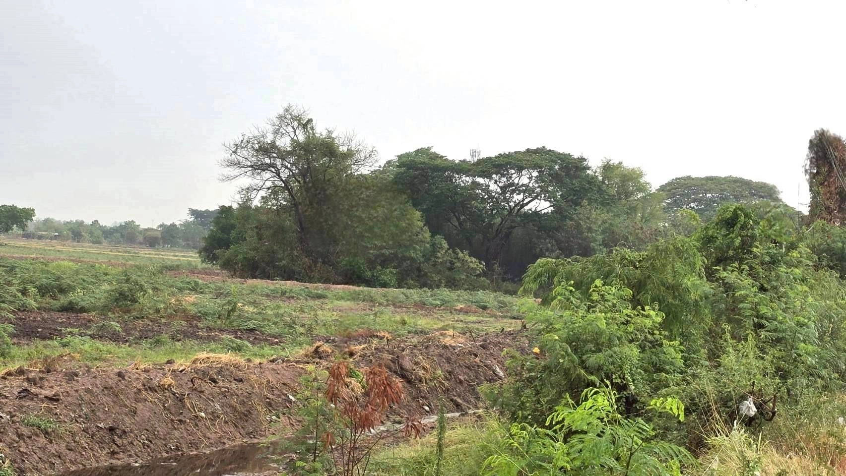 ขายที่ดินเปล่า 35-0-62 ไร่ ติดถนนสายหลักพหลโยธิน (ขาออก) ต.หนองยาว อ.เมืองสระบุรี  จ.สระบุรี ราคา 245,455,000 บาท