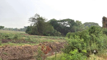 ขายที่ดินเปล่า 35-0-62 ไร่ ติดถนนสายหลักพหลโยธิน (ขาออก) ต.หนองยาว อ.เมืองสระบุรี  จ.สระบุรี ราคา 245,455,000 บาท