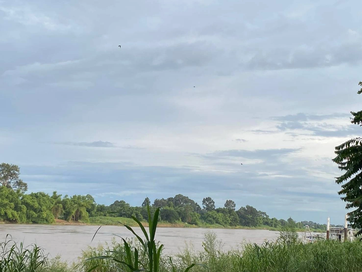 ขายที่ดินติดแม่น้ำเจ้าพระยา อำเภอพยุหะคีรี นครสวรรค์