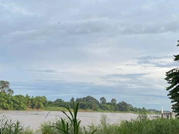 ขายที่ดินติดแม่น้ำเจ้าพระยา อำเภอพยุหะคีรี นครสวรรค์