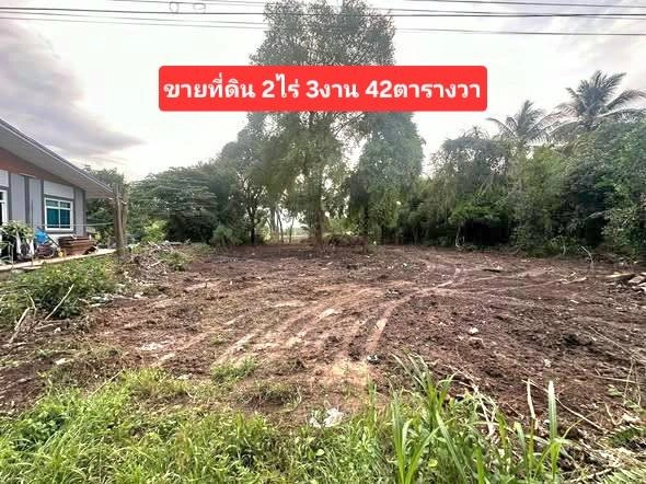 ขายที่ดินติดแม่น้ำเจ้าพระยา อำเภอพยุหะคีรี นครสวรรค์