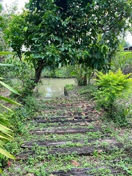 ขายด่วน! ที่ดินพร้อมบ้านสวนริมน้ำ บ้านครึ่งตึกครึ่งไม้ สุดคลาสสิก ทำเลทอง ต.วัดเพลง จ.ราชบุรี ราคา 15,000,000 บาท