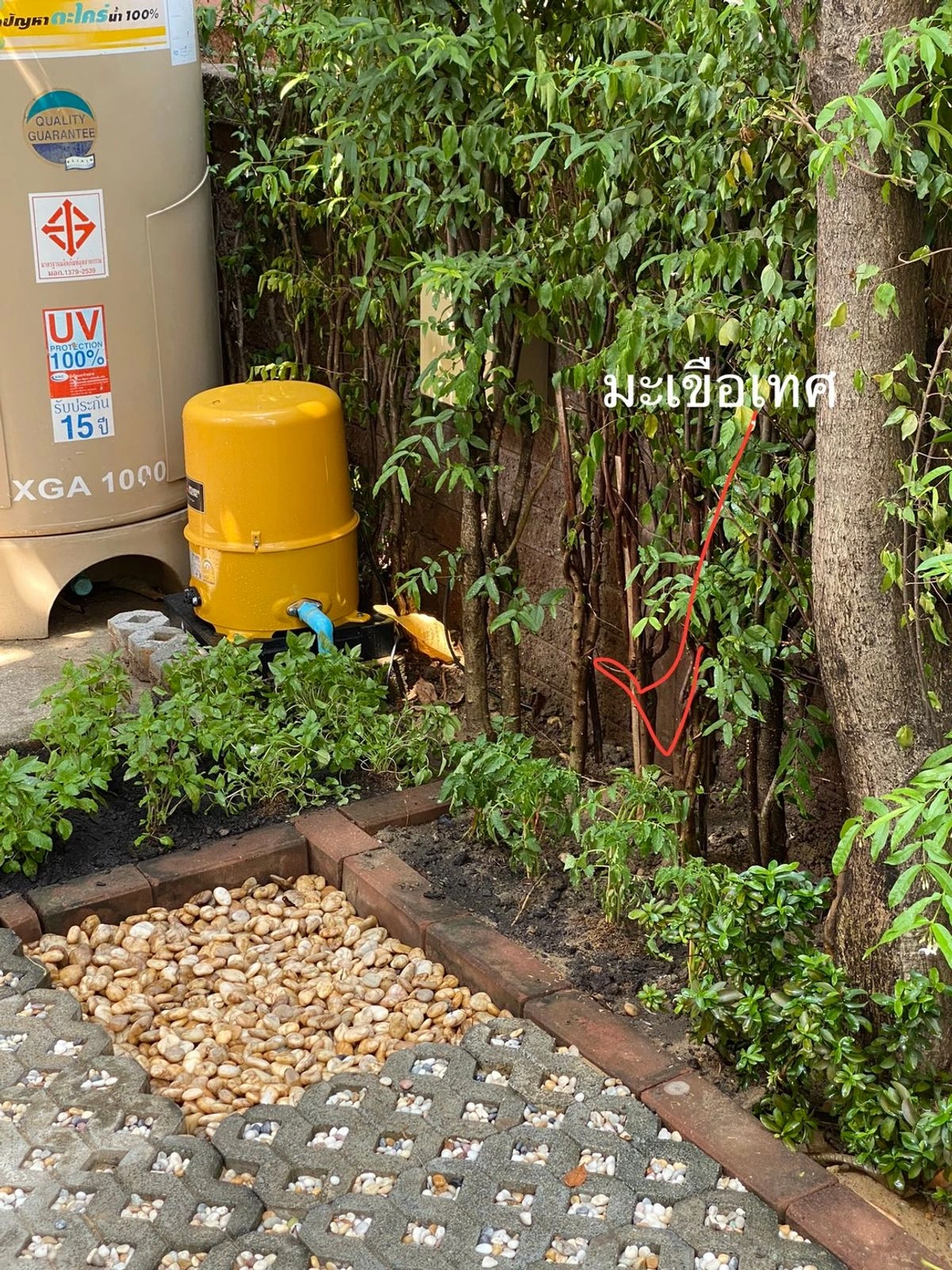ขายบ้านสวย  คาซ่า แกรนด์ เอกมัย-รามอินทรา