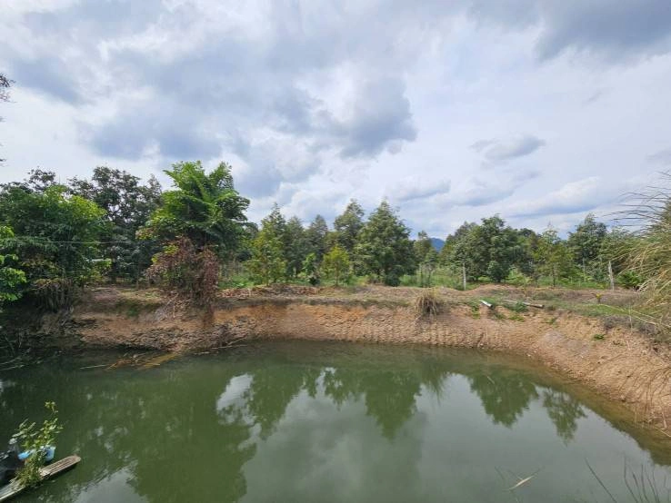 ขายที่ดินพร้อมสวนผลไม้ 5 ไร่ จันทบุรี ออกผลผลิตแล้ว สามารถดำเนินการต่อได้เลย
