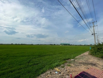 ขายทำเลดีและพื้นที่ที่ดินสวยมาก  ต.บางพระขาว อ.บางบาล จ.พระนครศรีอยุธยา