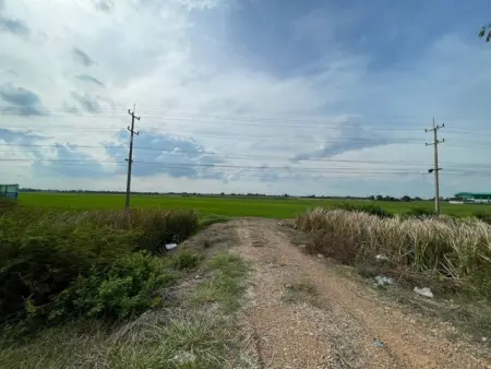 ขายทำเลดีและพื้นที่ที่ดินสวยมาก  ต.บางพระขาว อ.บางบาล จ.พระนครศรีอยุธยา