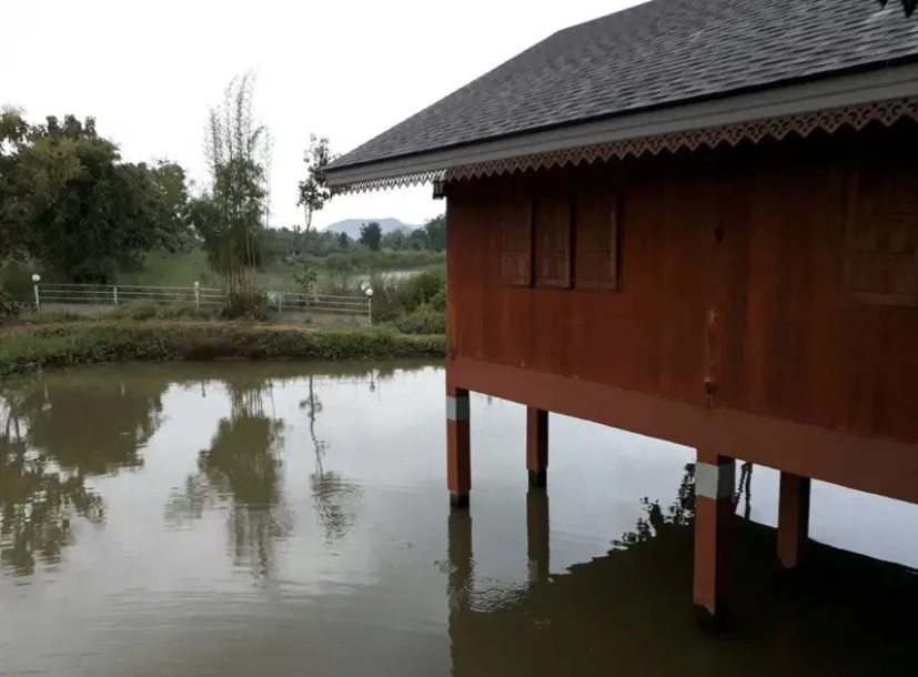 ขายที่ดินพร้อมบ้านและสวนลำไย 14 ไร่ ทำเลดีมาก อ.เมือง จ.ลำพุน
