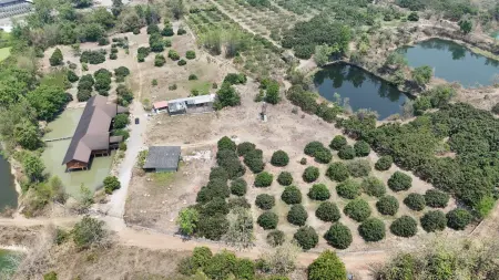 ขายที่ดินพร้อมบ้านและสวนลำไย 14 ไร่ ทำเลดีมาก อ.เมือง จ.ลำพุน