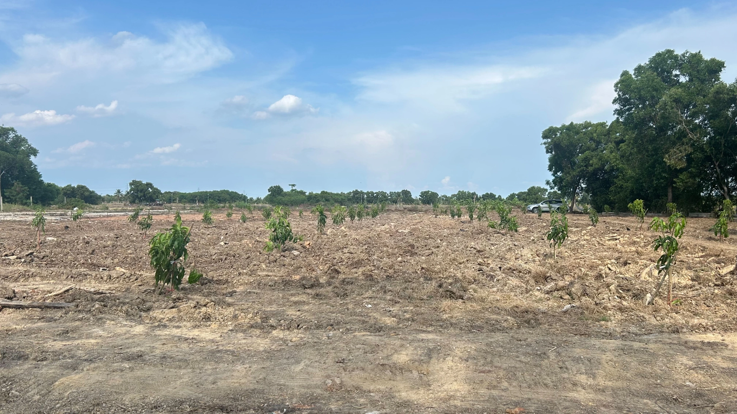 ขายที่ดินขนาด 4 ไร่ ใกล้สนามบินสุวรรณภูมิ  ตำบลคลองสวน อำเภอบางบ่อ จังหวัดสมุทรปราการ