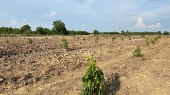 ขายที่ดินขนาด 4 ไร่ ใกล้สนามบินสุวรรณภูมิ  ตำบลคลองสวน อำเภอบางบ่อ จังหวัดสมุทรปราการ