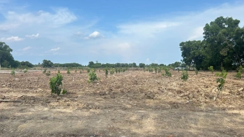 ขายที่ดินขนาด 4 ไร่ ใกล้สนามบินสุวรรณภูมิ  ตำบลคลองสวน อำเภอบางบ่อ จังหวัดสมุทรปราการ