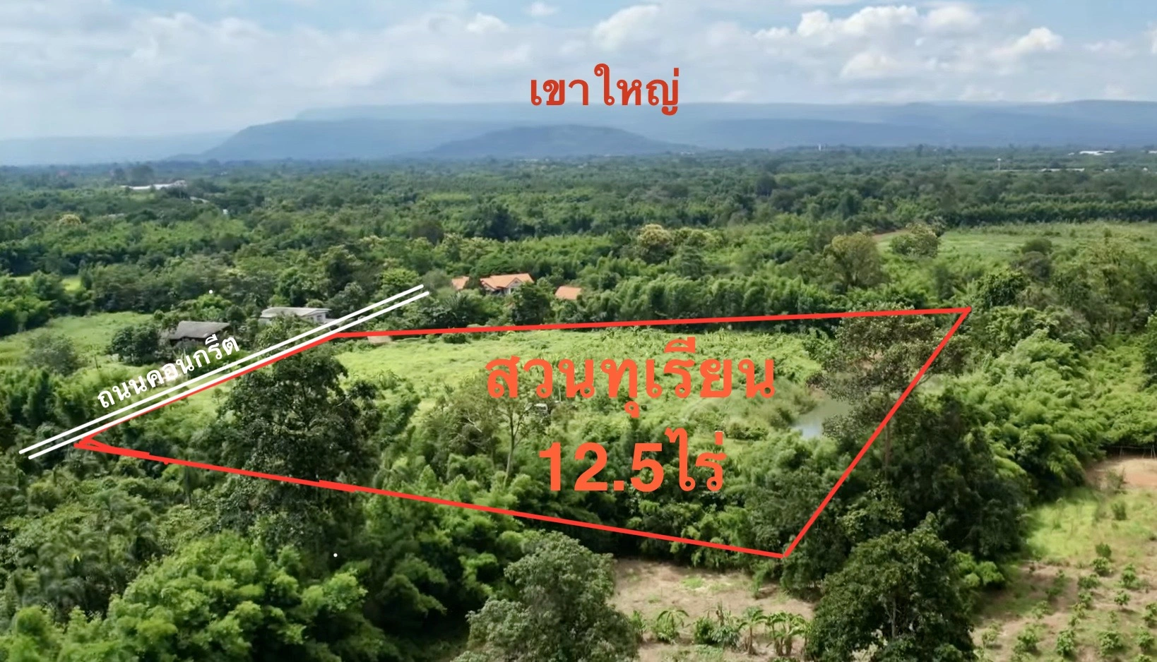ขายสวนทุเรียน  12.5 ไร่  ตำบลโนนห้อม อำเภอเมือง จังหวัดปราจีนบุรี