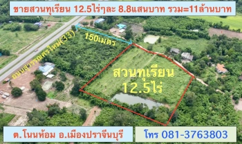 ขายสวนทุเรียน  12.5 ไร่  ตำบลโนนห้อม อำเภอเมือง จังหวัดปราจีนบุรี