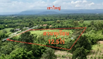 ขายสวนทุเรียน  12.5 ไร่  ตำบลโนนห้อม อำเภอเมือง จังหวัดปราจีนบุรี