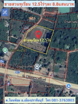 ขายสวนทุเรียน  12.5 ไร่  ตำบลโนนห้อม อำเภอเมือง จังหวัดปราจีนบุรี