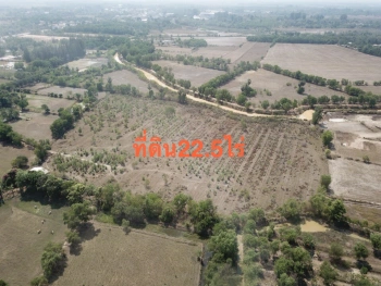 ขายที่ดินขนาด 22.5 ไร่ ใน อำเภอประจันตคาม จังหวัดปราจีนบุรี