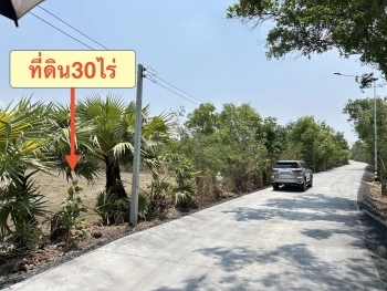 ขายที่ดินทำเลดี 30 ไร่ เจ้าของขายเอง  081-3763803