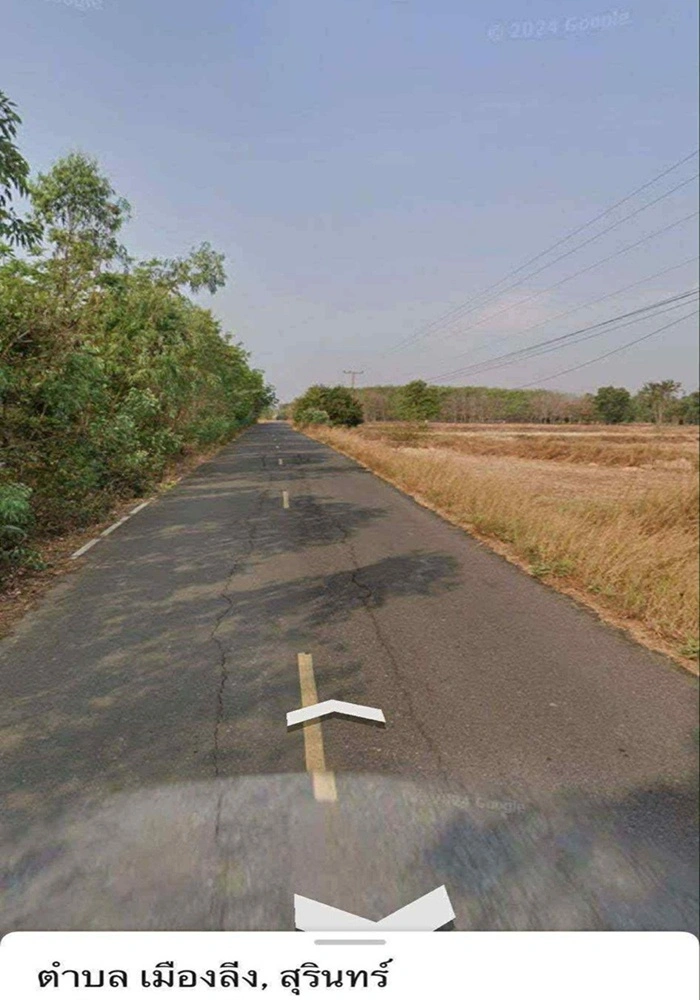ขายที่ดิน 13 ไร่ อ.จอมพระ จ.สุรินทร์