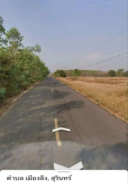 ขายที่ดิน 13 ไร่ อ.จอมพระ จ.สุรินทร์