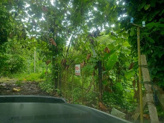 🌳 ขายที่ดิน ใกล้ถ้ำเชียงดาว วัดถ้ำผาปล่อง  อ.เชียงดาว จ.เชียงใหม่ เนื้อที่ 1 ไร่