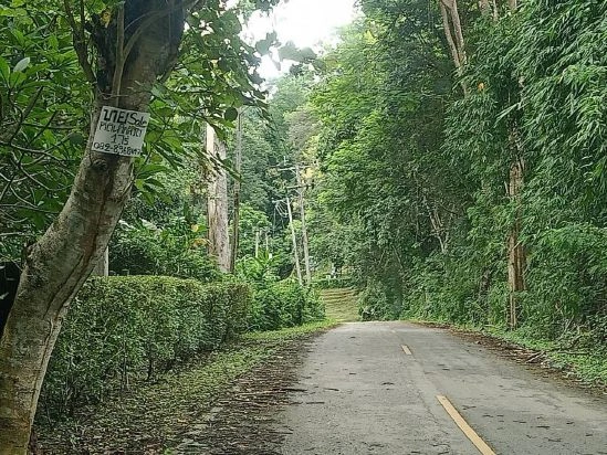 🌳 ขายที่ดิน ใกล้ถ้ำเชียงดาว วัดถ้ำผาปล่อง  อ.เชียงดาว จ.เชียงใหม่ เนื้อที่ 1 ไร่
