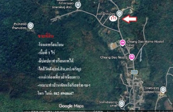 🌳 ขายที่ดิน ใกล้ถ้ำเชียงดาว วัดถ้ำผาปล่อง  อ.เชียงดาว จ.เชียงใหม่ เนื้อที่ 1 ไร่
