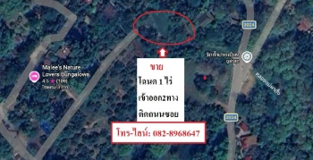 🌳 ขายที่ดิน ใกล้ถ้ำเชียงดาว วัดถ้ำผาปล่อง  อ.เชียงดาว จ.เชียงใหม่ เนื้อที่ 1 ไร่