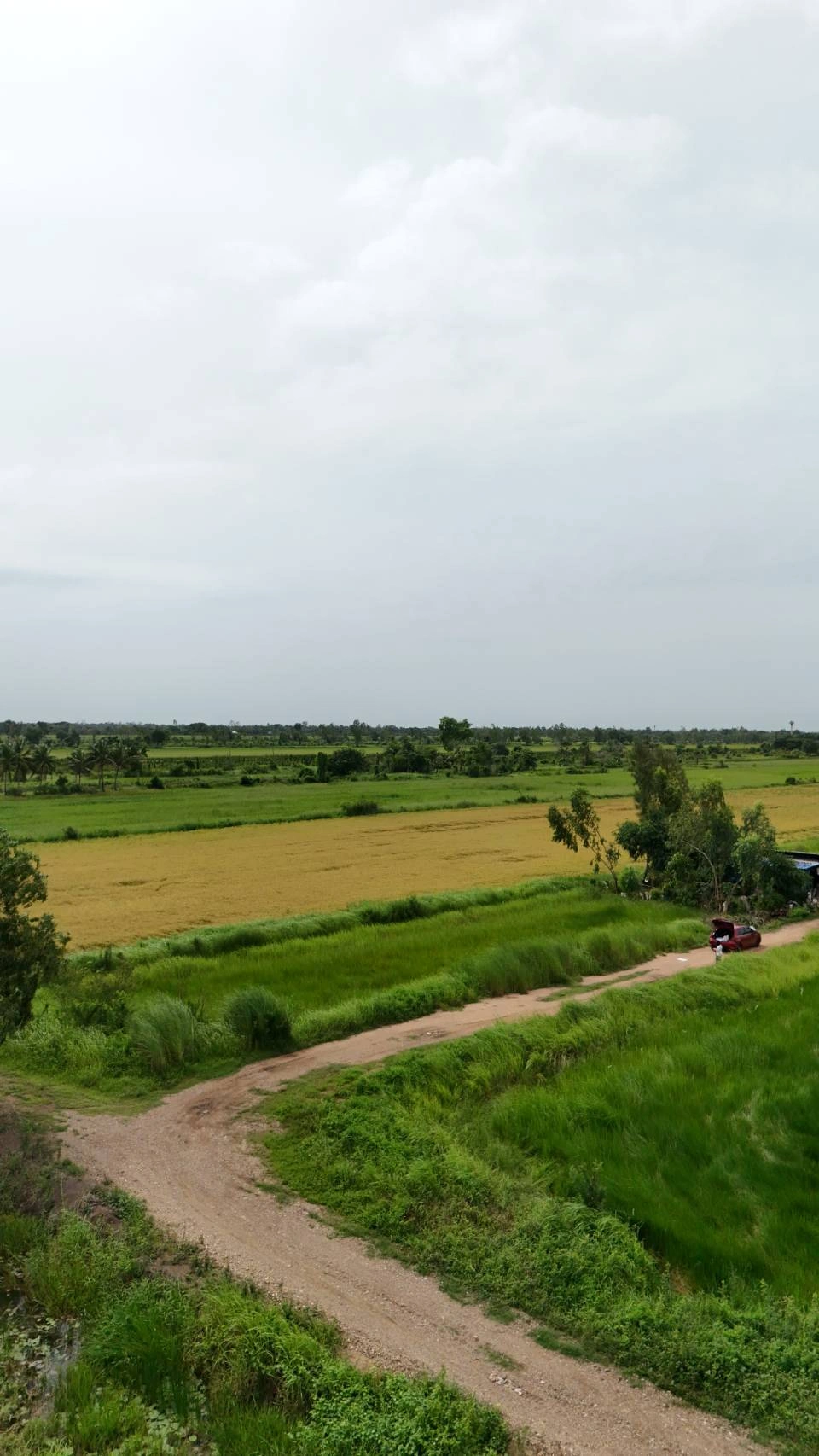 ขายที่ดินจัดสรร องครักษ์ นครนายก เหมาะสร้างบ้าน โฉนดครุฑแดง  พร้อมโอน