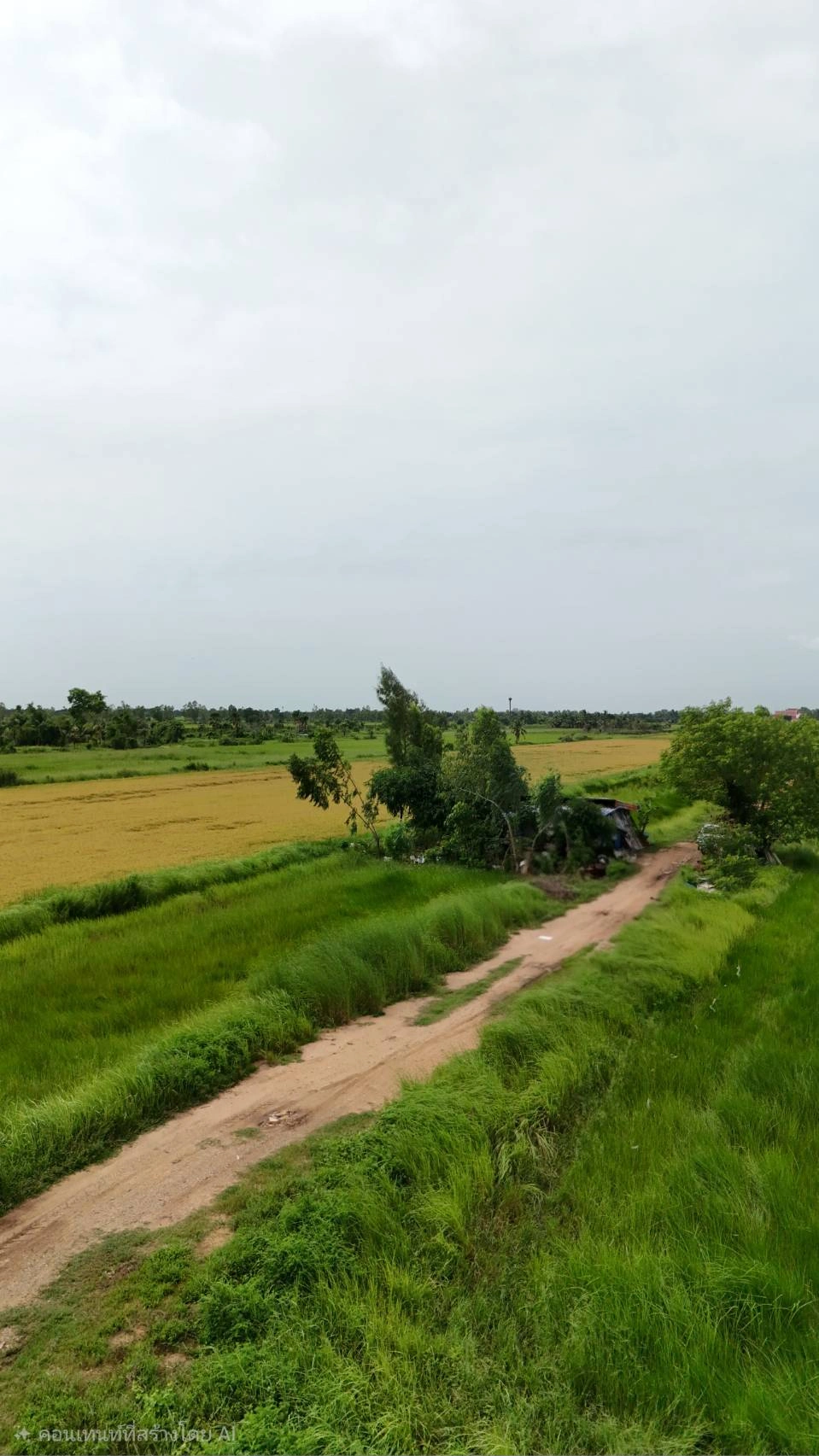 ขายที่ดินจัดสรร องครักษ์ นครนายก เหมาะสร้างบ้าน โฉนดครุฑแดง  พร้อมโอน