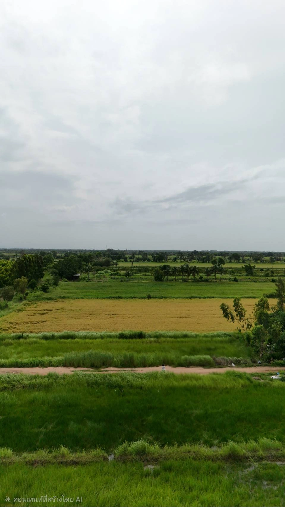 ขายที่ดินจัดสรร องครักษ์ นครนายก เหมาะสร้างบ้าน โฉนดครุฑแดง  พร้อมโอน