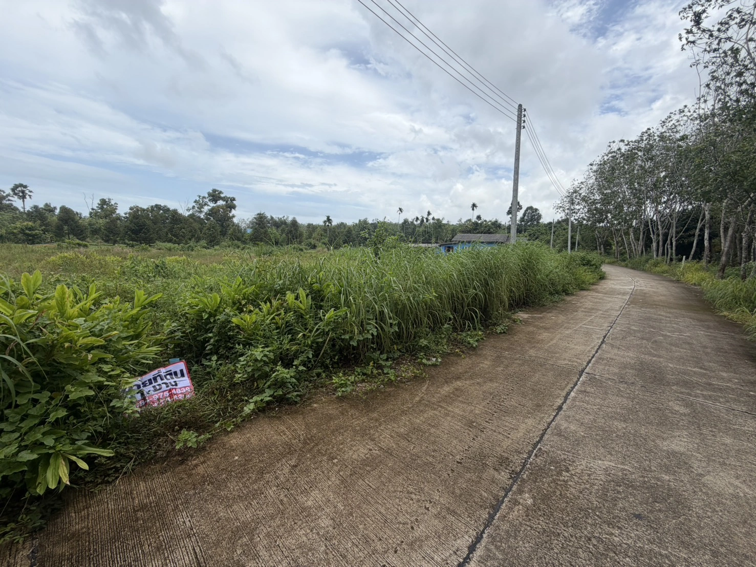ขายที่ดินหนึ่งงาน ต.ซากพง อ.แกลง จ.ระยอง