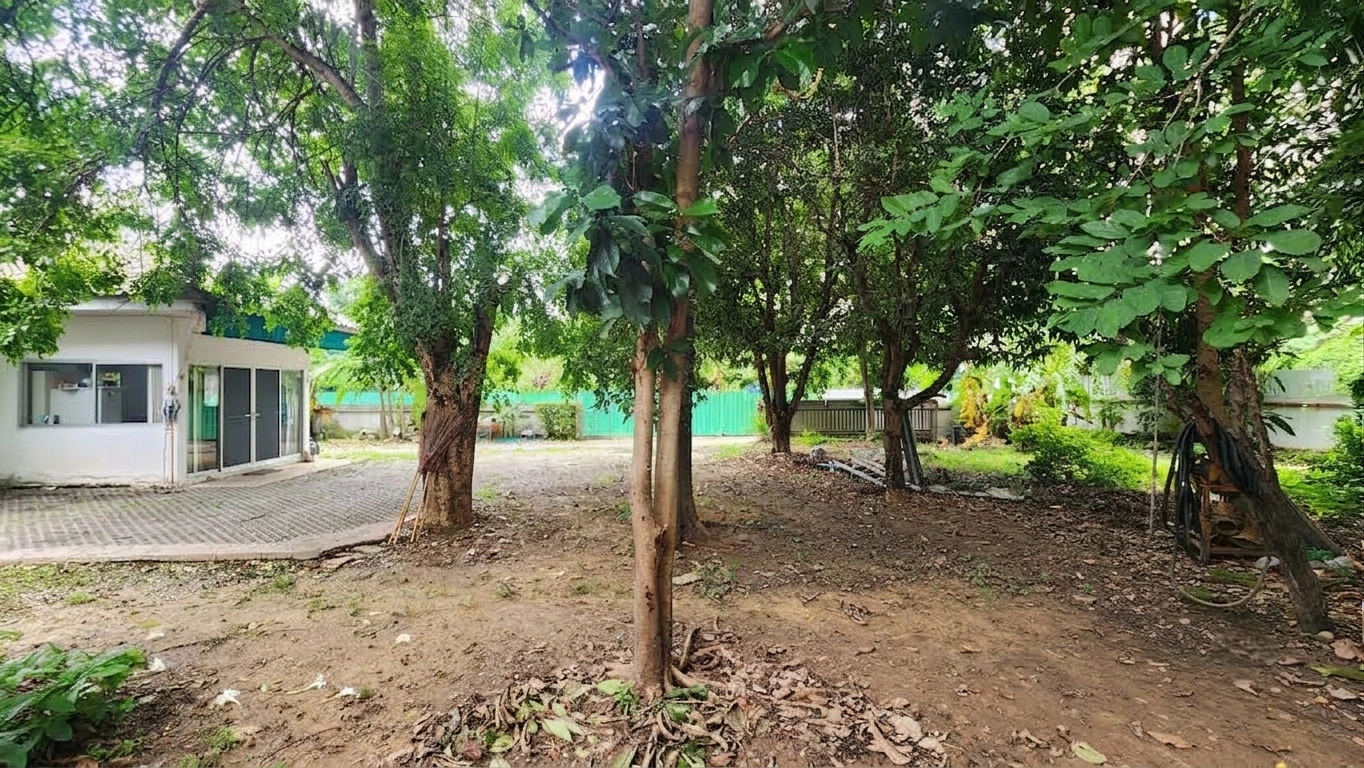 ขายที่ดินพร้อมบ้านเดี่ยว งามวงศ์วาน 18 แยก 10 | 260.8 ตร.ว. แปลงใหญ่ พื้นที่เหลือสร้างเพิ่มได้ | ใกล้ทางด่วน